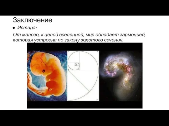 Заключение Истина: От малого, к целой вселенной, мир обладает гармонией, которая устроена по закону золотого сечения.