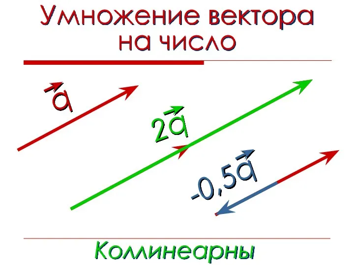 Умножение вектора на число Коллинеарны