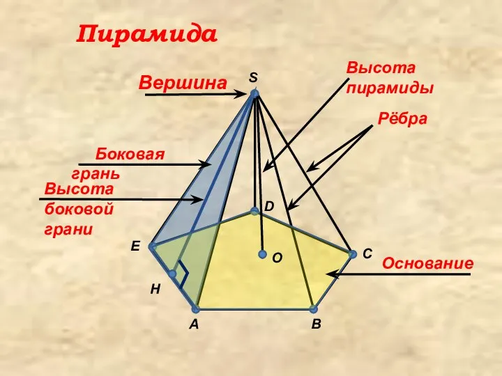 A C D E H B S Вершина Рёбра Основание O