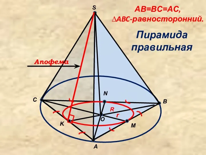 C B A S O M N K AB=BC=AC, ∆ABC-равносторонний. Пирамида правильная r R Апофема