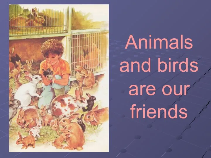 Animals and birds are our friends