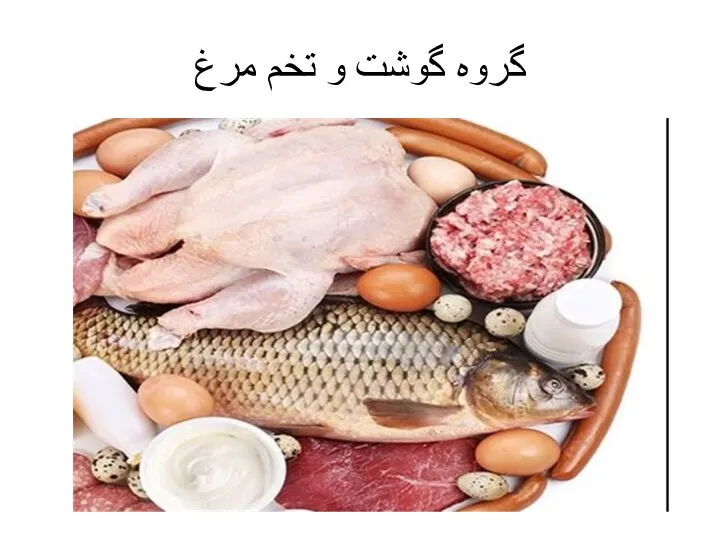 گروه گوشت و تخم مرغ