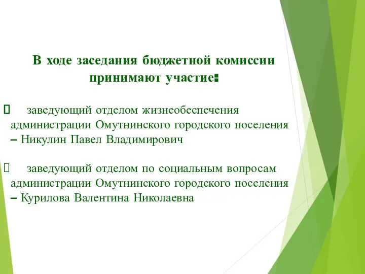 В ходе заседания бюджетной комиссии принимают участие: заведующий отделом жизнеобеспечения администрации