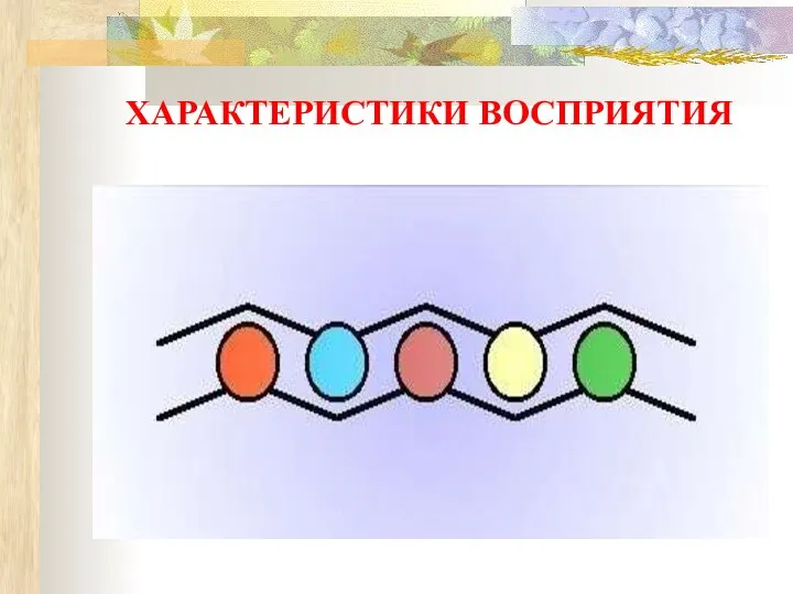 ХАРАКТЕРИСТИКИ ВОСПРИЯТИЯ