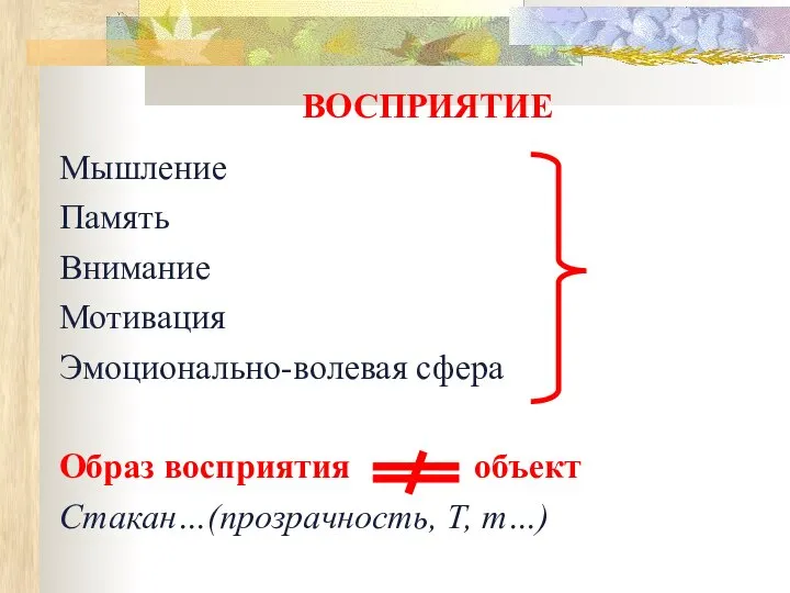 ВОСПРИЯТИЕ Мышление Память Внимание Мотивация Эмоционально-волевая сфера Образ восприятия объект Стакан…(прозрачность, Т, m…)