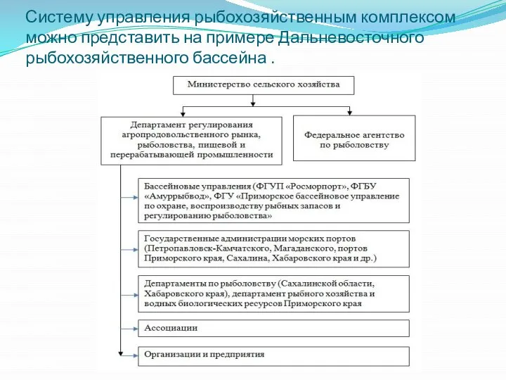 Систему управления рыбохозяйственным комплексом можно представить на примере Дальневосточного рыбохозяйственного бассейна .