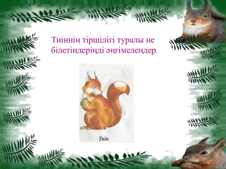 Тиіннің тіршілігі туралы не білетіндеріңді әңгімелеңдер.