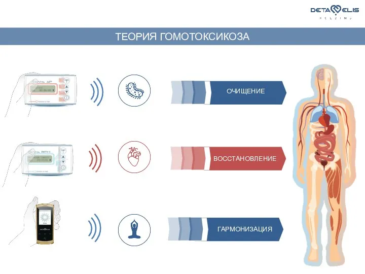 ТЕОРИЯ ГОМОТОКСИКОЗА ОЧИЩЕНИЕ ВОССТАНОВЛЕНИЕ ГАРМОНИЗАЦИЯ