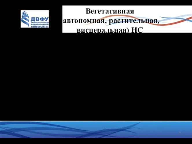 Вегетативная (автономная, растительная, висцеральная) НС выполняет 2-ю функцию НС (объединение органов