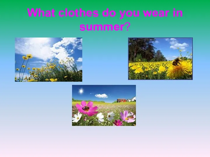 What clothes do you wear in summer?