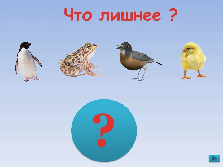 Что лишнее ? ?