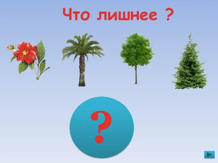 Что лишнее ? ?