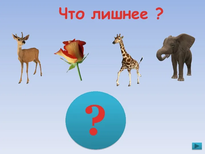 Что лишнее ? ?