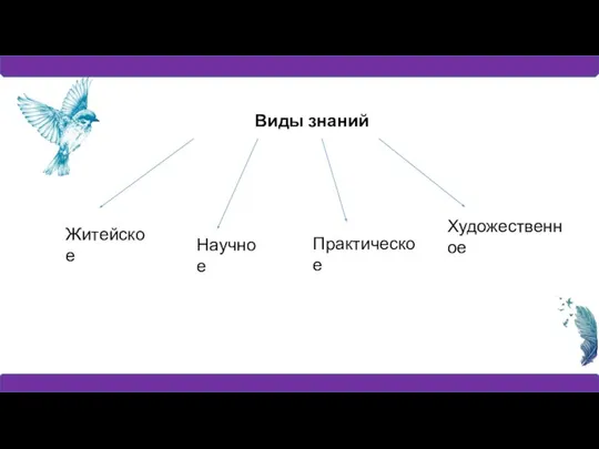 Виды знаний Житейское Научное Практическое Художественное