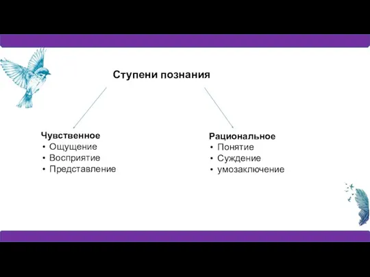 Ступени познания Чувственное Ощущение Восприятие Представление Рациональное Понятие Суждение умозаключение