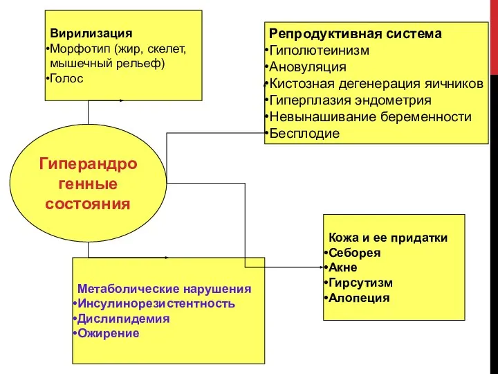 Гиперандрогенные состояния Репродуктивная система Гиполютеинизм Ановуляция Кистозная дегенерация яичников Гиперплазия эндометрия