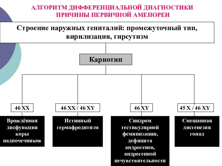 Строение наружных гениталий: промежуточный тип, вирилизация, гирсутизм Кариотип Смешанная дисгенезия гонад