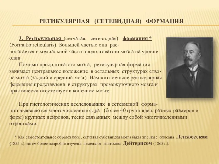 РЕТИКУЛЯРНАЯ (СЕТЕВИДНАЯ) ФОРМАЦИЯ 3. Ретикулярная (сетчатая, сетевидная) формация * (Formatio reticularis).