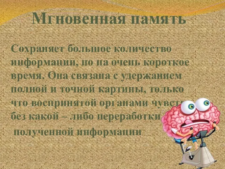 Мгновенная память Сохраняет большое количество информации, но на очень короткое время.