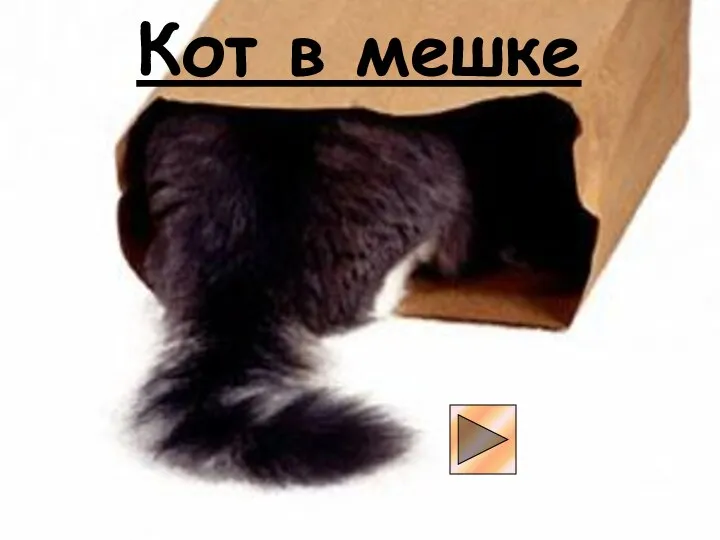 Кот в мешке