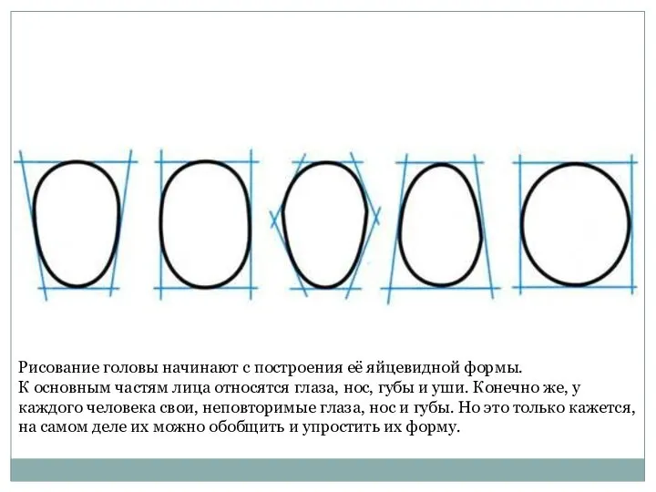 Рисование головы начинают с построения её яйцевидной формы. К основным частям