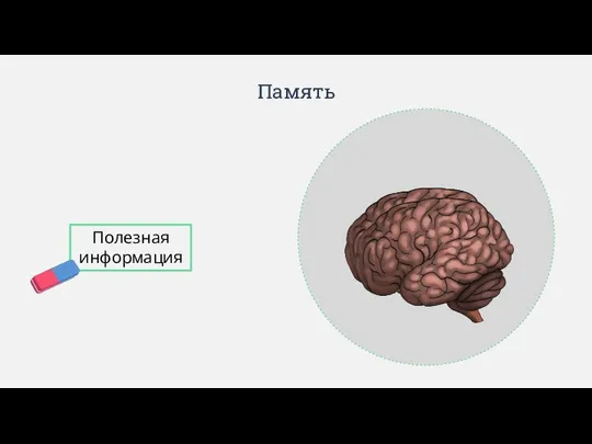 Память Полезная информация