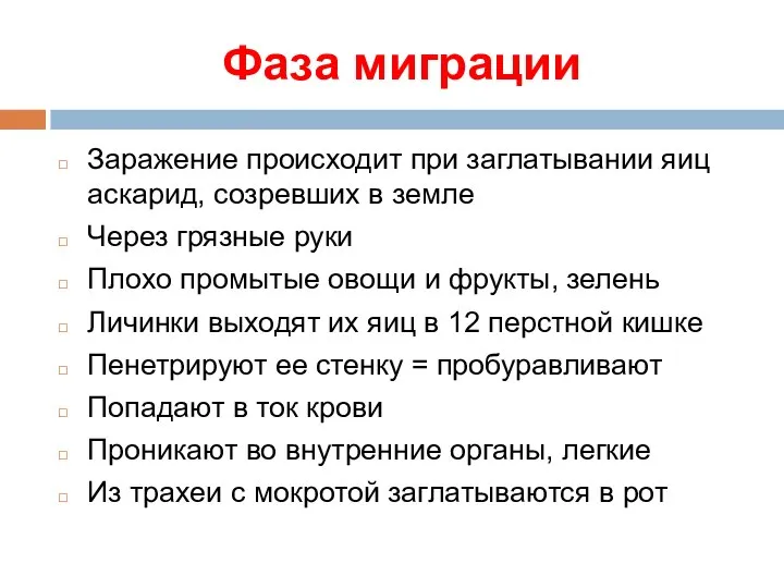 Фаза миграции Заражение происходит при заглатывании яиц аскарид, созревших в земле