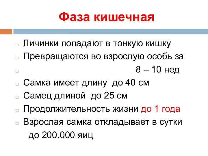 Фаза кишечная Личинки попадают в тонкую кишку Превращаются во взрослую особь