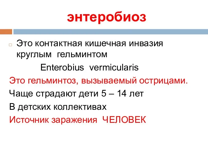 энтеробиоз Это контактная кишечная инвазия круглым гельминтом Enterobius vermicularis Это гельминтоз,