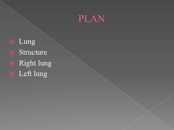 PLAN Lung Structure Right lung Left lung