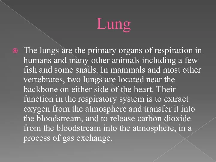 Lung The lungs are the primary organs of respiration in humans