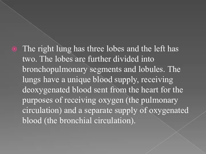 The right lung has three lobes and the left has two.