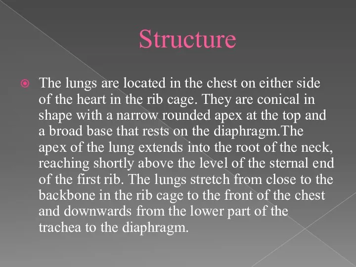 Structure The lungs are located in the chest on either side