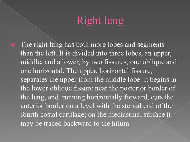 Right lung The right lung has both more lobes and segments