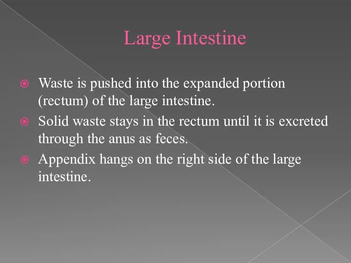 Large Intestine Waste is pushed into the expanded portion (rectum) of