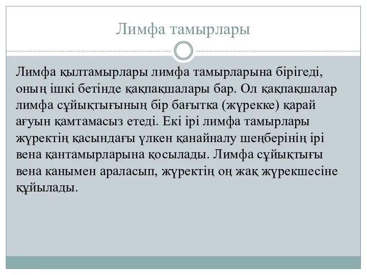 Лимфа тамырлары Лимфа қылтамырлары лимфа тамырларына бірігеді, оның ішкі бетінде қақпақшалары