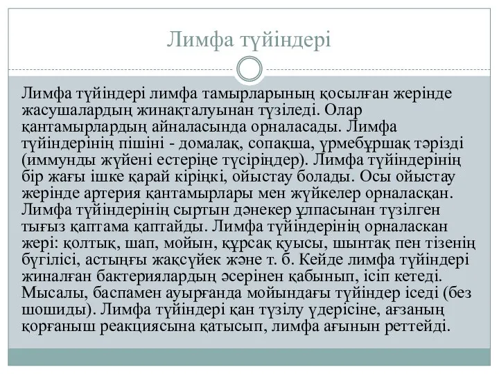 Лимфа түйіндері Лимфа түйіндері лимфа тамырларының қосылған жерінде жасушалардың жинақталуынан түзіледі.