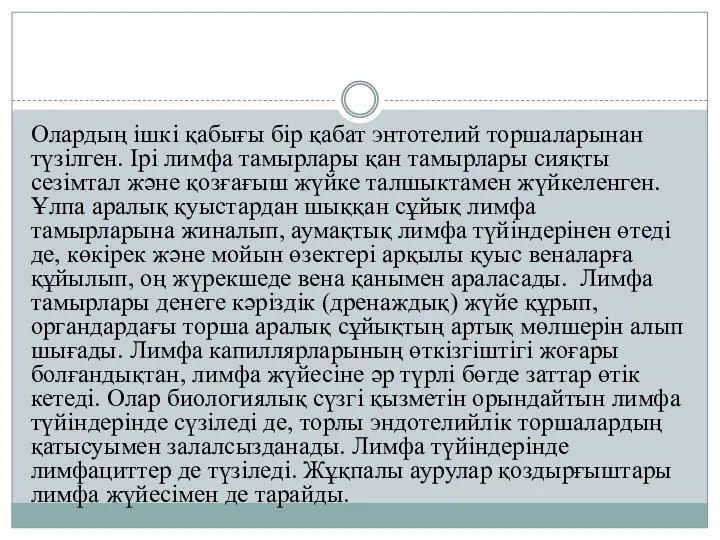 Олардың ішкі қабығы бір қабат энтотелий торшаларынан түзілген. Ірі лимфа тамырлары