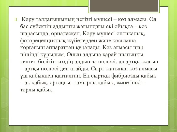 Көру талдағышының негізгі мүшесі – көз алмасы. Ол бас сүйектің аддынғы