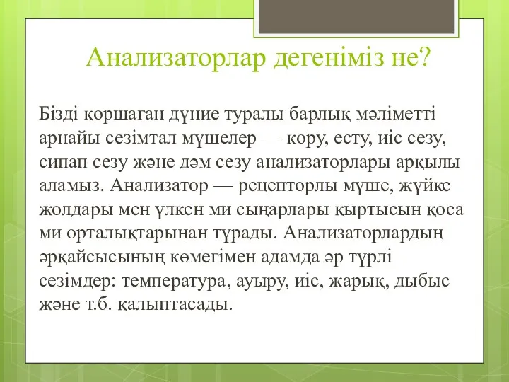 Анализаторлар дегеніміз не? Бізді қоршаған дүние туралы барлық мәліметті арнайы сезімтал