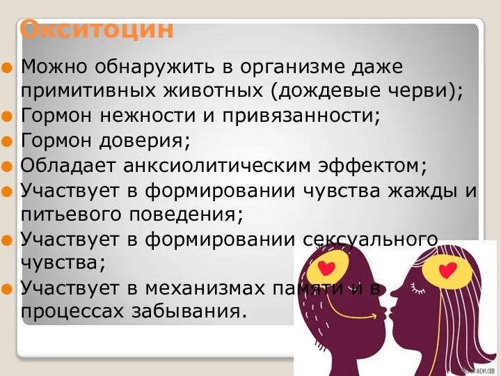 Окситоцин Можно обнаружить в организме даже примитивных животных (дождевые черви); Гормон