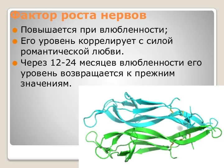 Фактор роста нервов Повышается при влюбленности; Его уровень коррелирует с силой