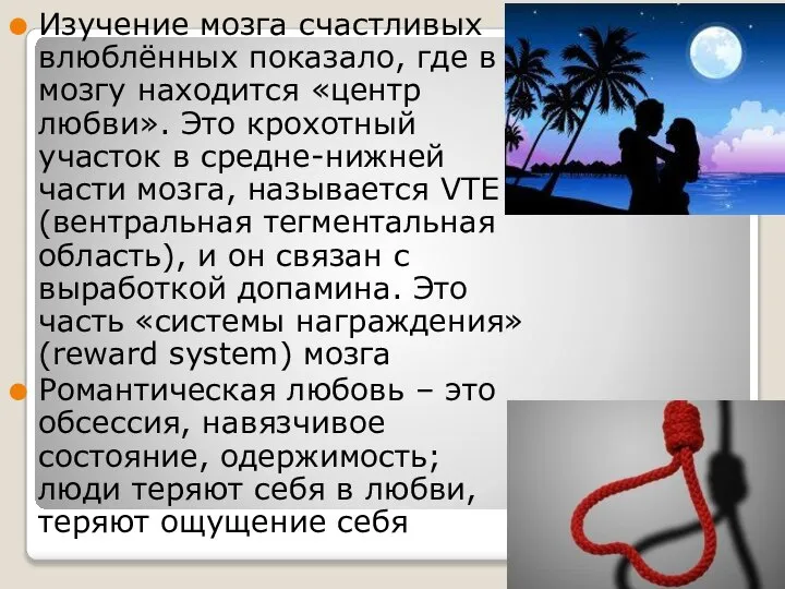 Изучение мозга счастливых влюблённых показало, где в мозгу находится «центр любви».