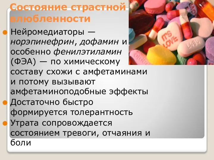 Состояние страстной влюбленности Нейромедиаторы — норэпинефрин, дофамин и особенно фенилэтиламин (ФЭА)