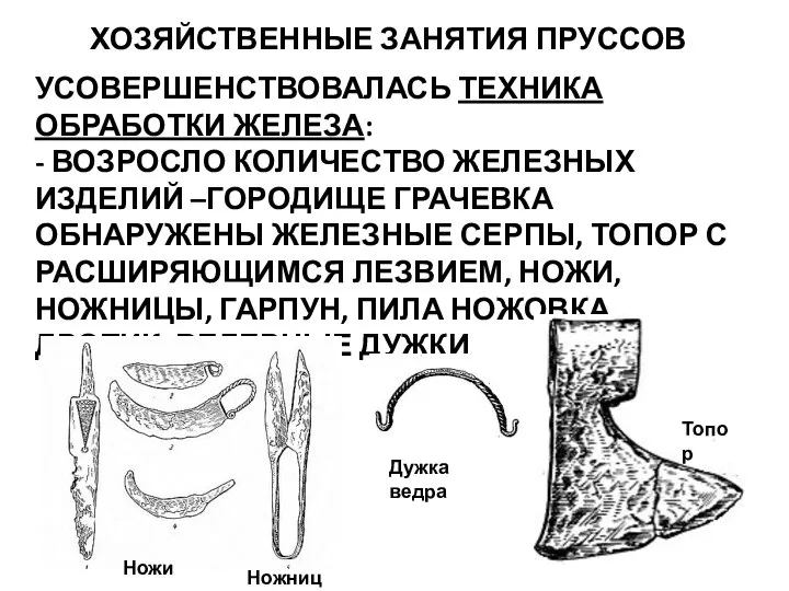 ХОЗЯЙСТВЕННЫЕ ЗАНЯТИЯ ПРУССОВ УСОВЕРШЕНСТВОВАЛАСЬ ТЕХНИКА ОБРАБОТКИ ЖЕЛЕЗА: - ВОЗРОСЛО КОЛИЧЕСТВО ЖЕЛЕЗНЫХ