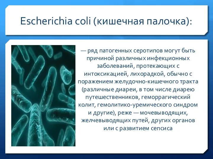 Escherichia coli (кишечная палочка): — ряд патогенных серотипов могут быть причиной