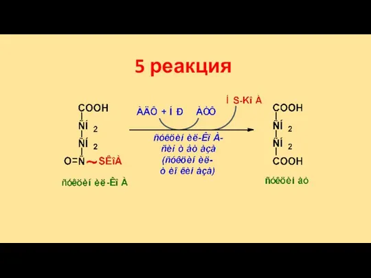 5 реакция