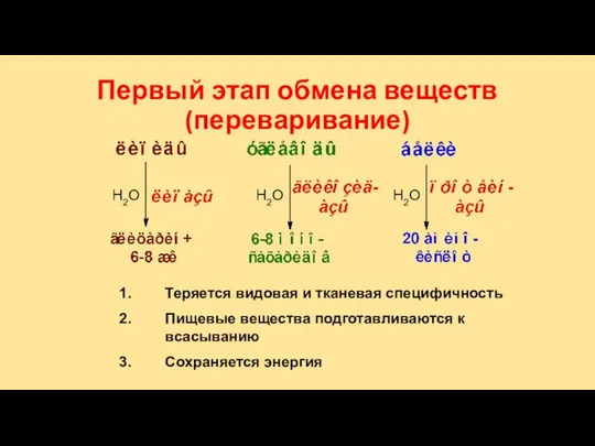 Первый этап обмена веществ (переваривание) Теряется видовая и тканевая специфичность Пищевые