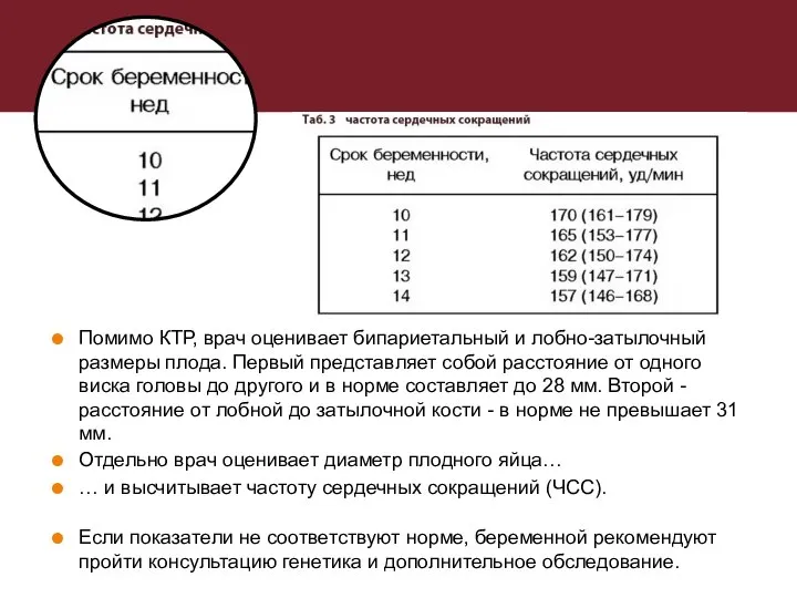 Помимо КТР, врач оценивает бипариетальный и лобно-затылочный размеры плода. Первый представляет