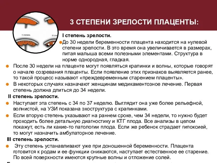 3 СТЕПЕНИ ЗРЕЛОСТИ ПЛАЦЕНТЫ: I степень зрелости. До 30 недели беременности